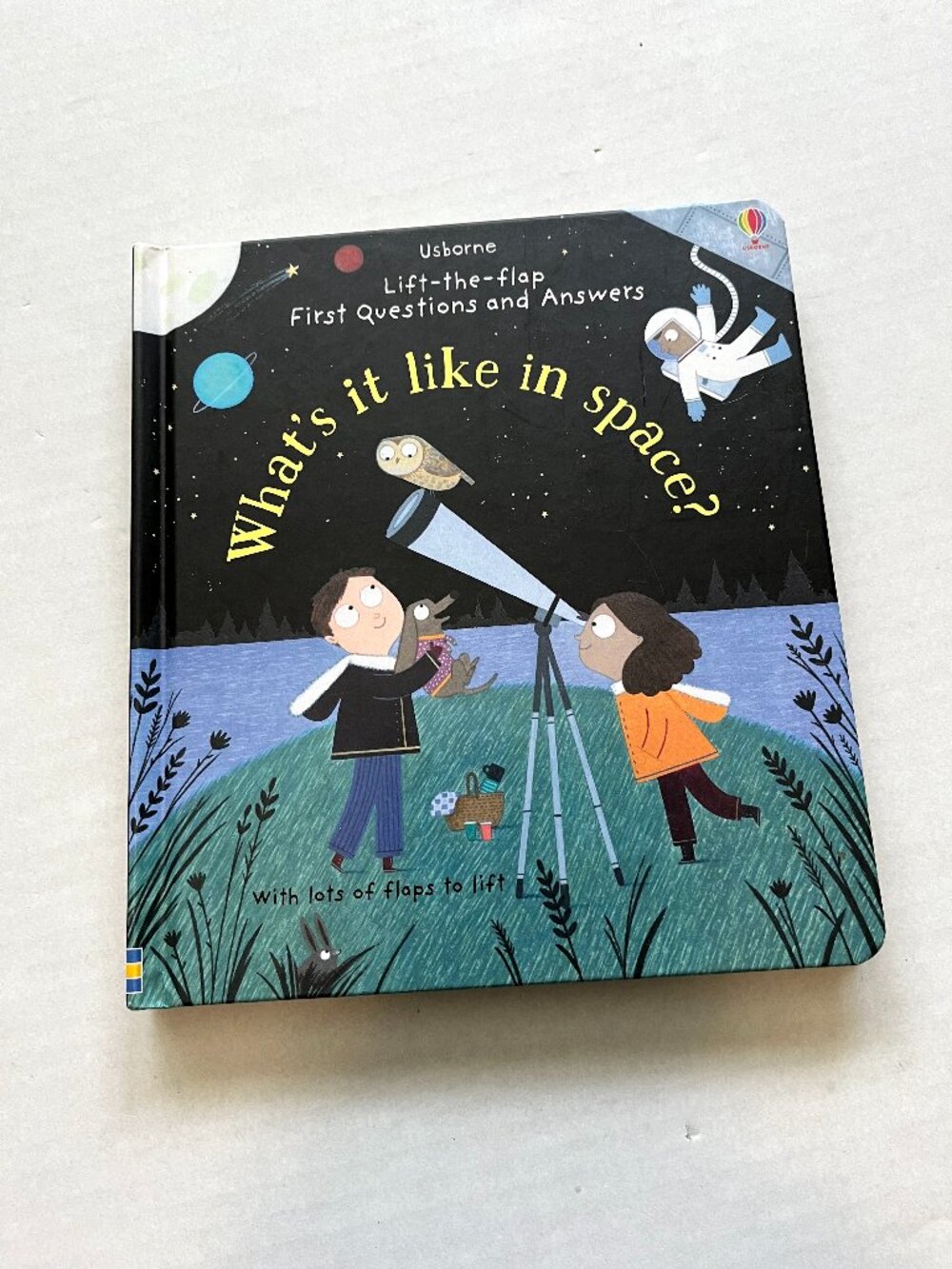 Usborne What's it like in space? Lift-the-flap Children's Book